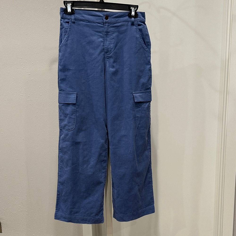 Treasure & Bond Silver Blue Corduroy Cargo Pants
